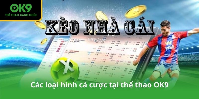 Các loại hình cá cược tại thể thao OK9