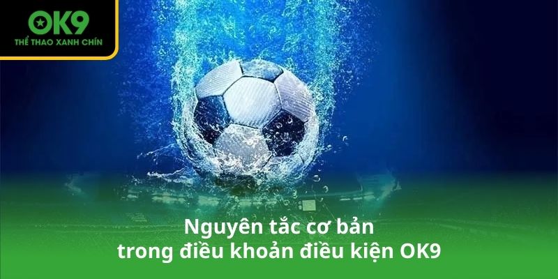 Nguyên tắc cơ bản trong điều khoản điều kiện OK9