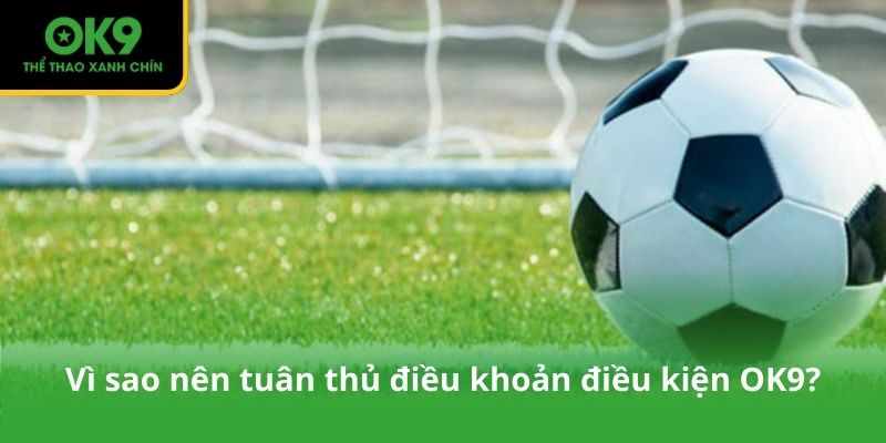 Vì sao nên tuân thủ điều khoản điều kiện OK9